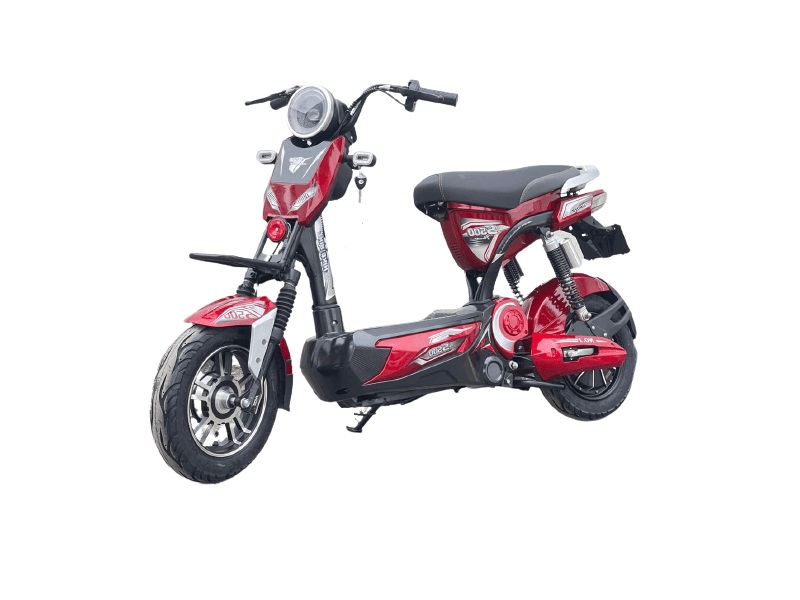 Người Đàn Ông Chuyển Phát Nhanh Đi Xe Đạp Từ Dịch Vụ Giao Hàng Minh Họa Vector Thức mời Phẳng Vận Chuyển Nhanh phẳng phiu Xe Đạp Nhân Vật Nam Với Thứ Tự #32 Người Đàn Ông Chuyển Phát Nhanh Đi Xe Đạp Từ Dịch Vụ Giao Hàng Minh Họa Vector Thức mời Phẳng Vận Chuyển Nhanh phẳng phiu Xe Đạp Nhân Vật Nam Với Thứ Tự